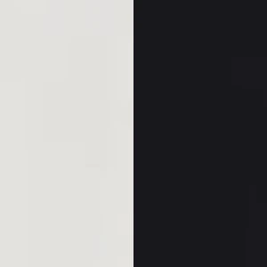 White With Black Fabric colour