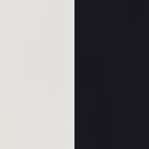 White With Black Fabric colour