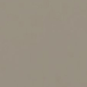 Taupe colour
