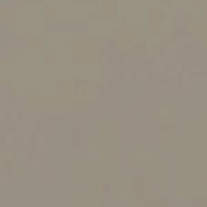 Taupe colour