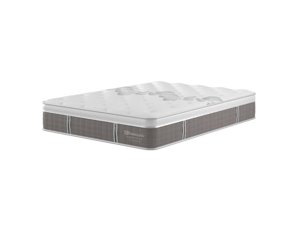 Sealy Exquisite Platinum Renaissance Mattress Bensons for Beds