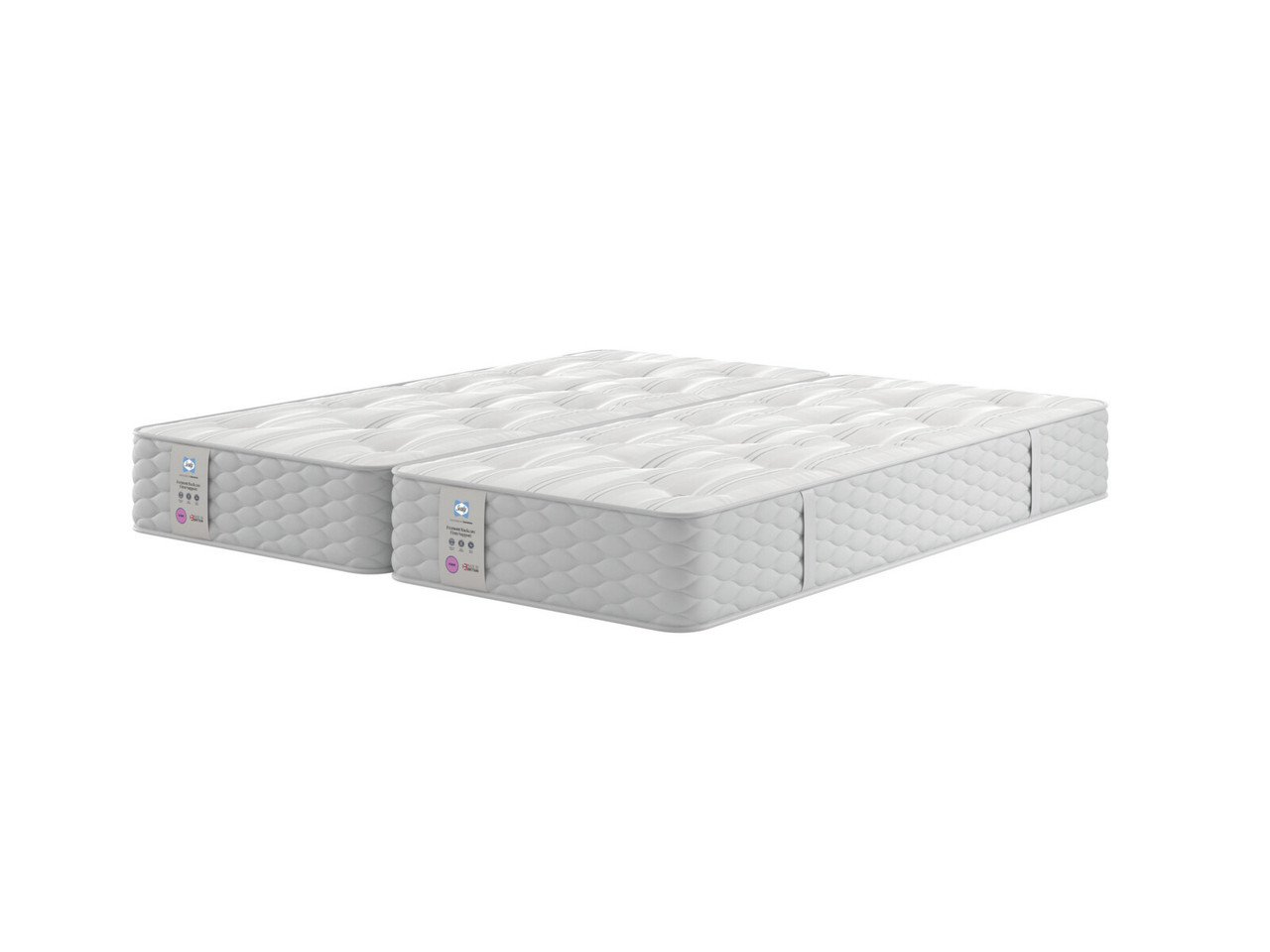 Sealy Fremont Backcare Firm Support Zip & Link Mattress Bensons for Beds