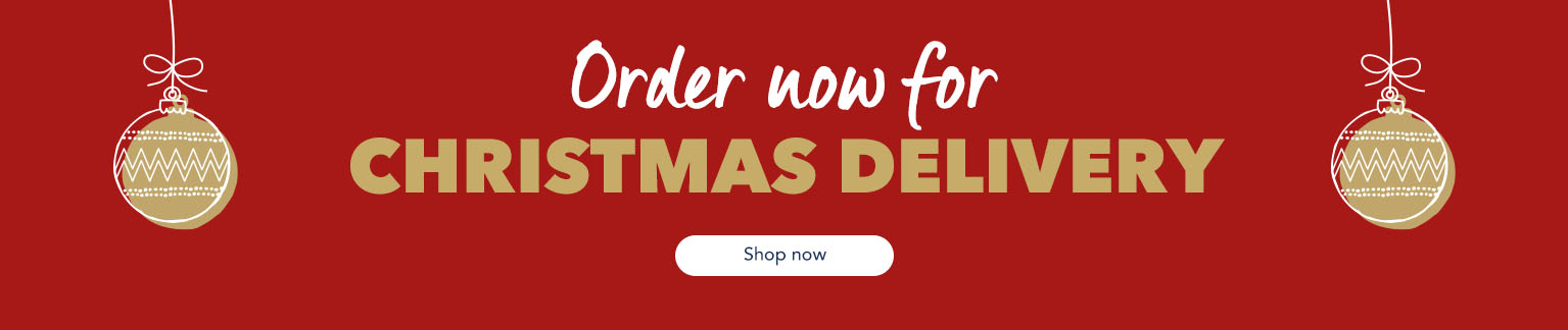 Christmas Delivery