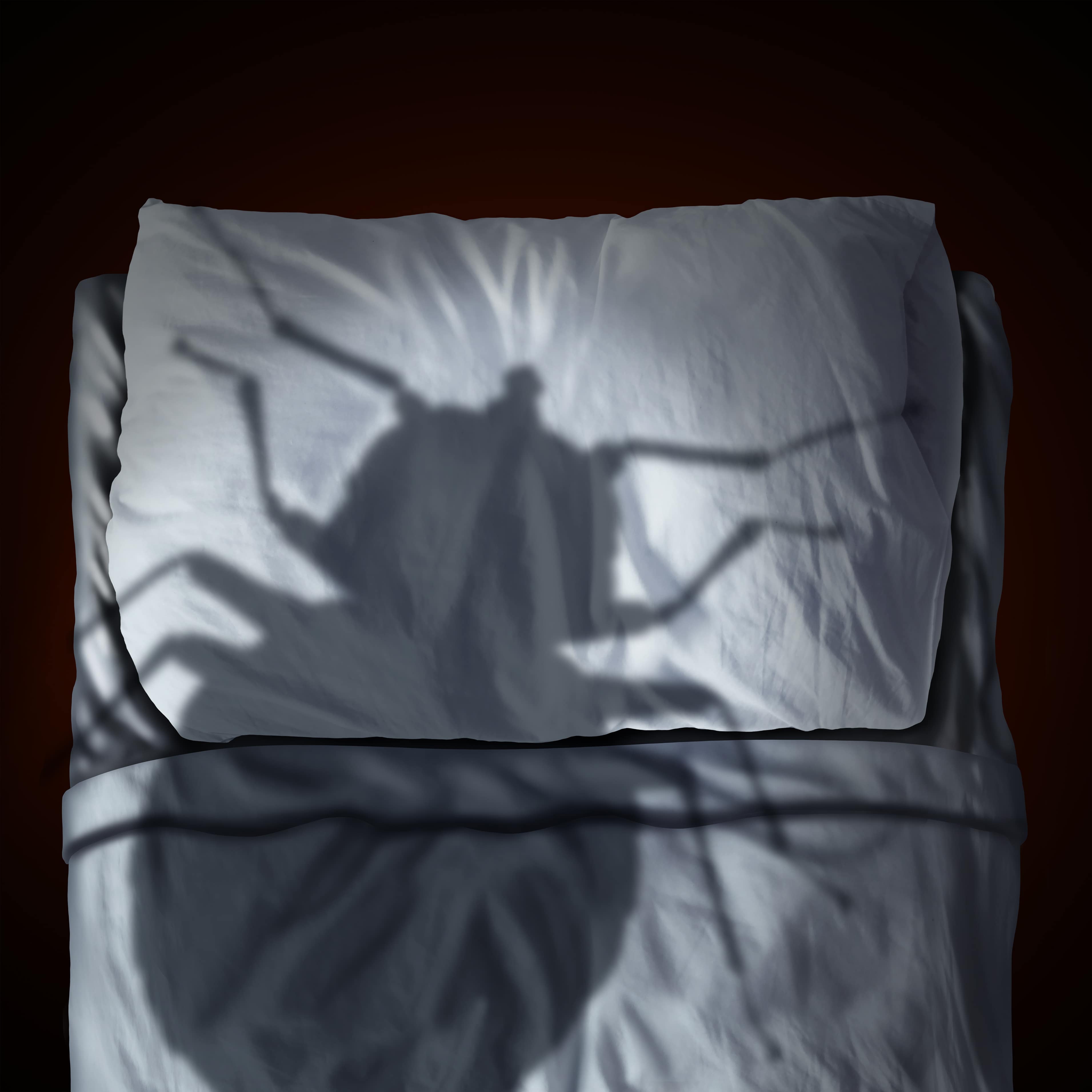 Which Bad Bacteria and Bed Bugs Could Be in Your Bed? Bensons for Beds