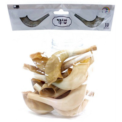 10 Plastic Toy Shofars with Embedded Noisemaker Small 5" Natural