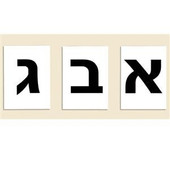 Large Typed Hebrew Aleph Bet (Hebrew Alphabet) Flash Cards