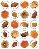 Dried Fruit Stickers