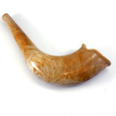 Small Realistic Plastic Toy Shofar - with Embedded Noisemaker
