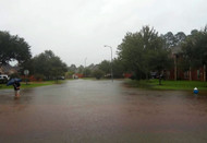 Day School Becomes a Shelter in Houston As SuperStorm Harvey Batters Texas, Louisiana, by Hana Levy Julian