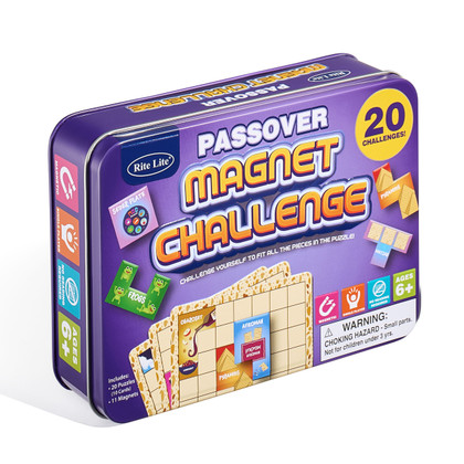 Passover Magnet Challenge Game