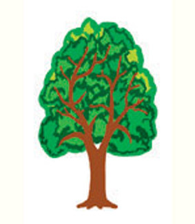 Small Tree Card Stock