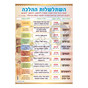 Time-line Poster "The Evolution of Jewish Law Throughout the Generations" - השתלשלות ההלכה שרשרת הדורות