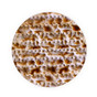 2.8" Small Round Matzah Card-Stock Cutouts