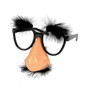 Groucho Nose Glasses