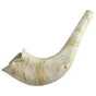 Real Looking Plastic Toy Shofar - with Embeded Noisemaker!