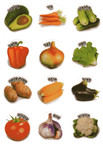 Vegetables and their Hebrew name Stickers