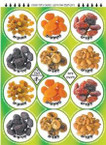 Dried Fruit Stickers