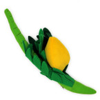 Simple Plush 4 Ha Minim Set Lulav & Etrog