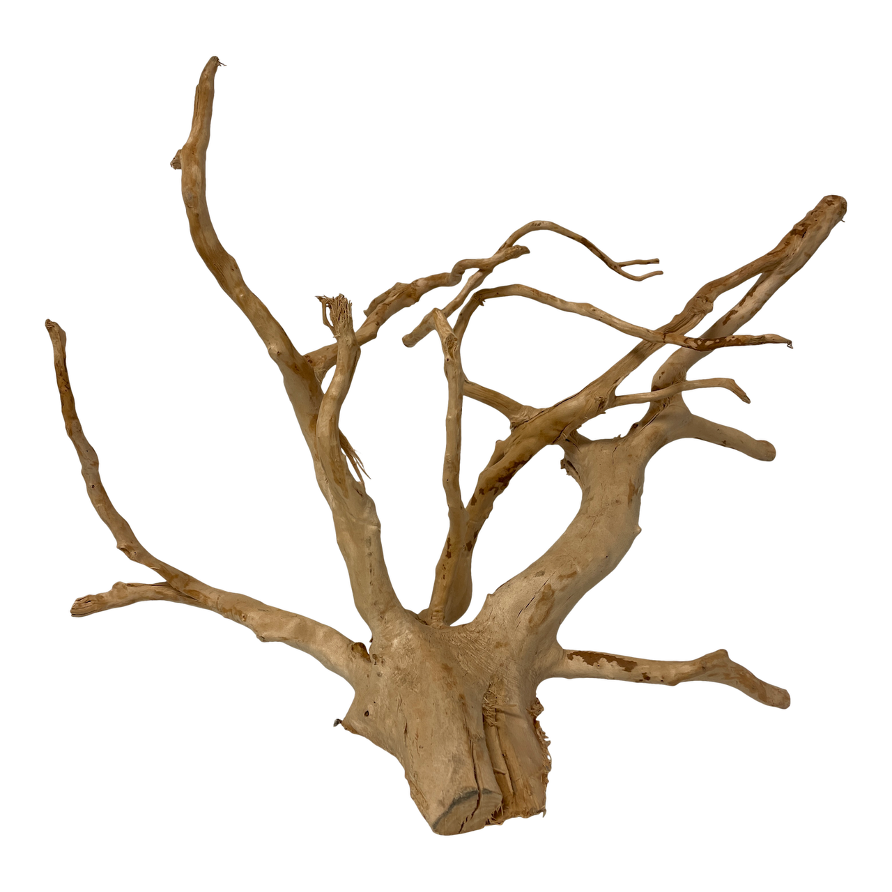 Natural Driftwood Spiderwood LARGE Aquarium Spider Wood Decoration