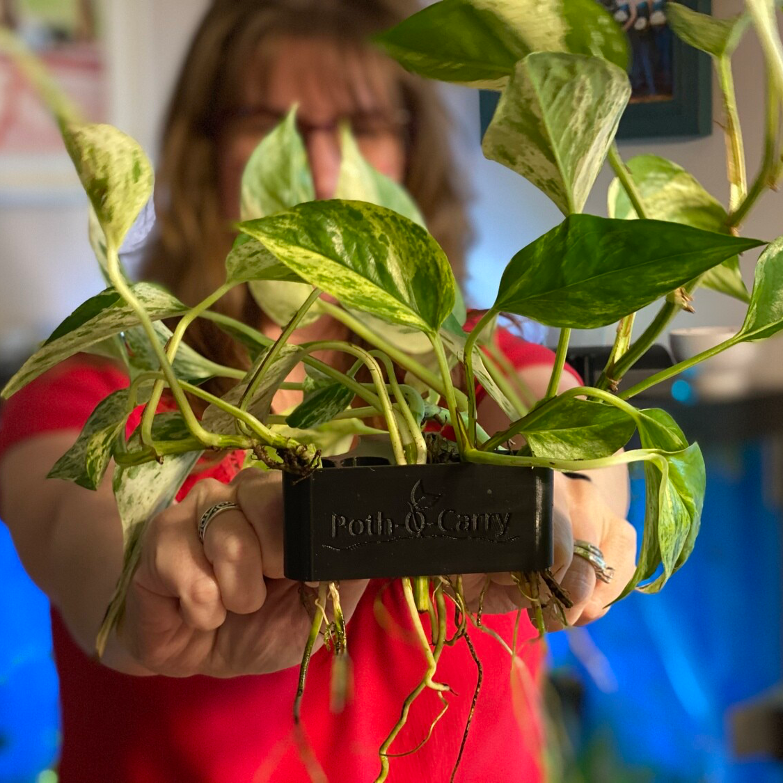 PothOCarry Original Emerging Plant Holder (Rimmed or Rimless Tank)