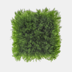 Artificial Aquarium Grass Mat – Aquafaux