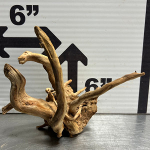 Spider Wood S2