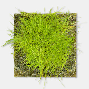 aquarium grass mat