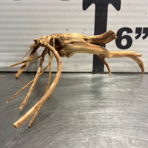 Spider Wood S9