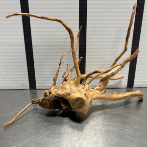 Spider Wood M3