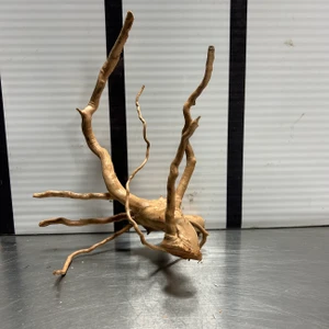 Spider Wood M7