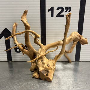 Spider Wood M7