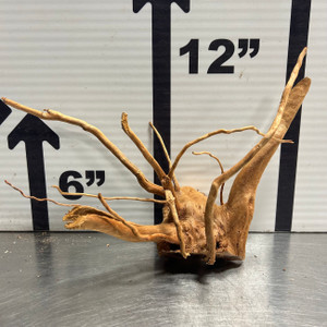 Spider Wood M11
