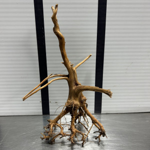Driftwood - Tiger Wood - Large - Modern Aquarium