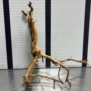 大型流木 ￥9,500 Driftwood - Tiger Wood - Large - Modern Aquarium