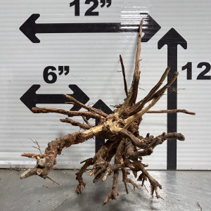 Driftwood - Tiger Wood - Large - Modern Aquarium
