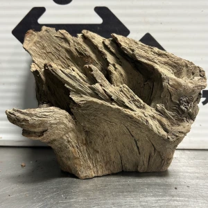 Blackwood M11