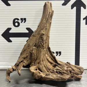 Blackwood L11