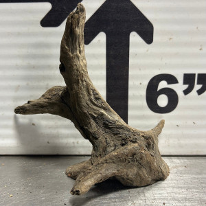 Saba Wood S8