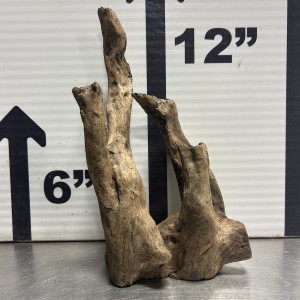 Saba Wood L2