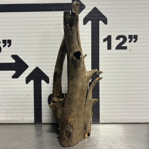 Saba Wood L4