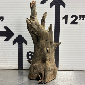 Saba Wood L4