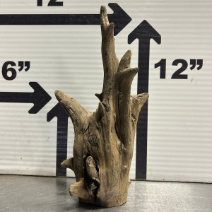Saba Wood L6