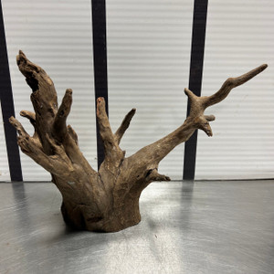 Saba Wood L8