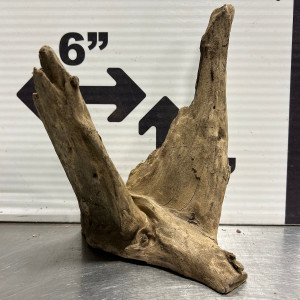 Saba Wood L10