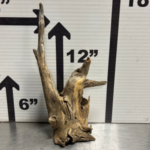 Saba Wood XL1