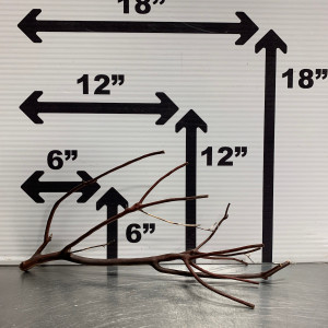 Manzanita Wood Branch (19)