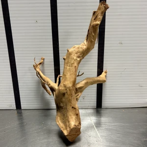 Spider Wood L1