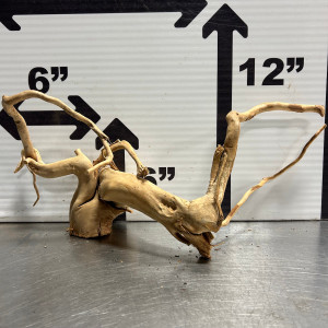 Spider Wood L2