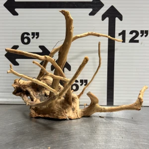 Spider Wood L6