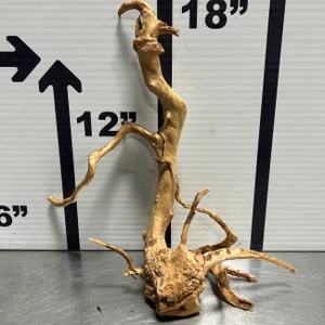 Spider Wood L9